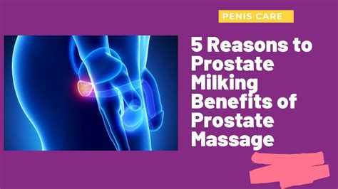 videos of prostate milking|'prostate.